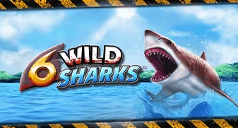 6 Wild Sharks